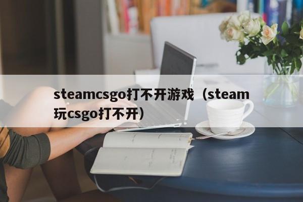 steamcsgo打不开游戏（steam玩csgo打不开）